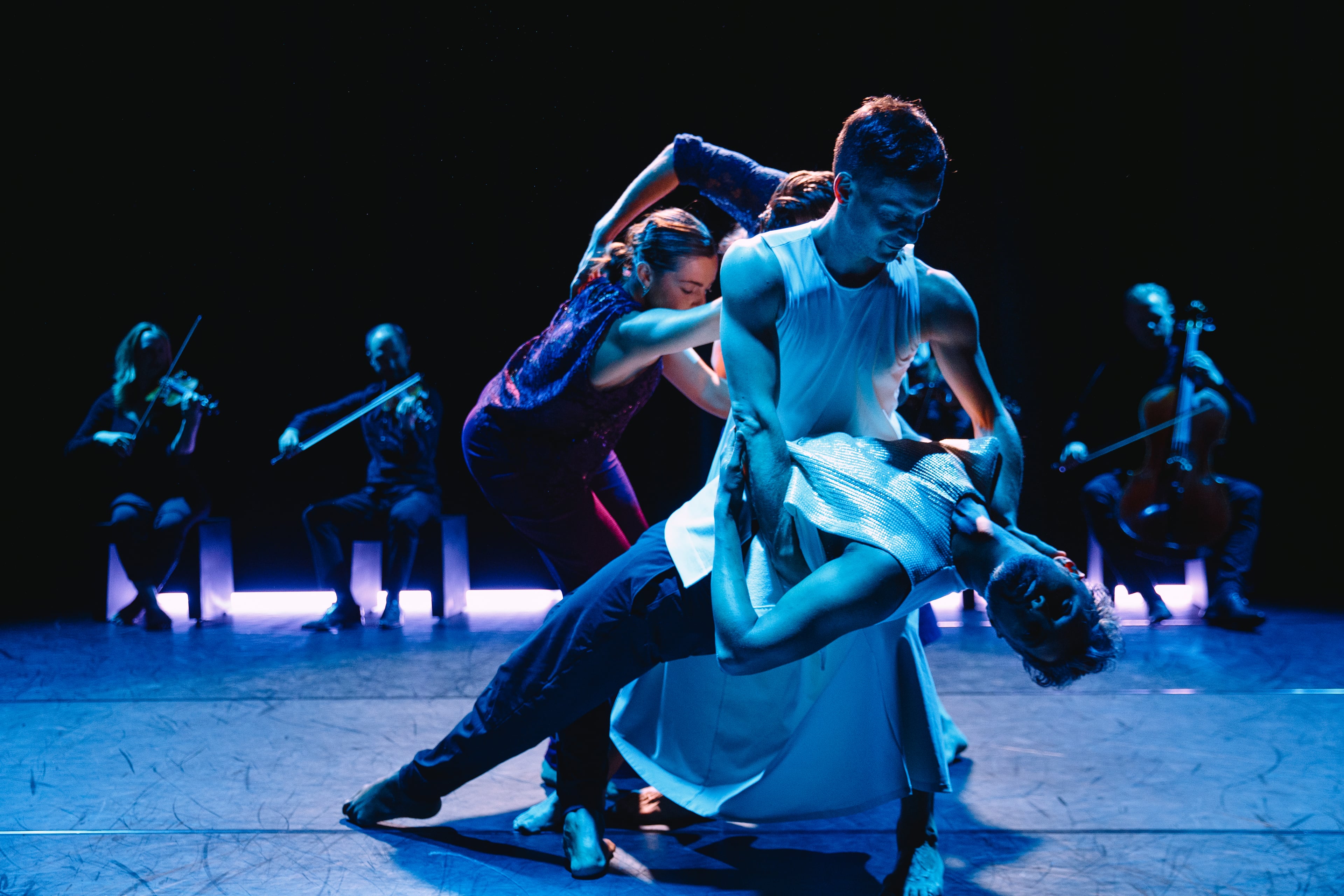 Buitenlandse voorstellingen of concerten in Nederland