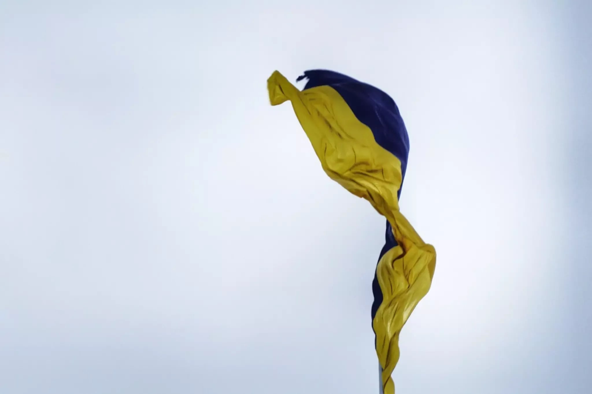 Reopening of the Support Programme for Ukrainian Artists 2024