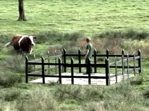 Dutch Performing Arts organiseert Nouvelles scènes des Pays-Bas in Montréal