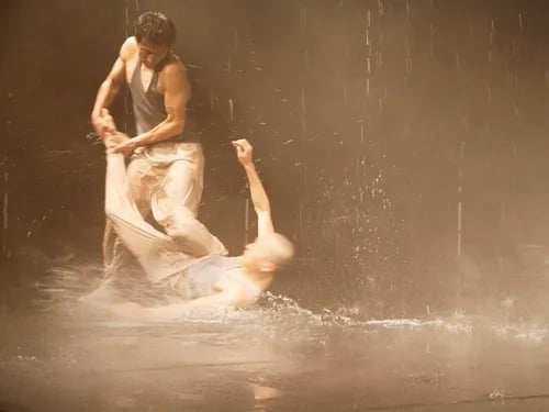 Reading van Paper Tiger in Nederland te zien