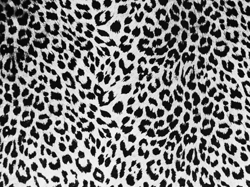 The Performance Formerly Known As Performance or Camouflaging Kelly