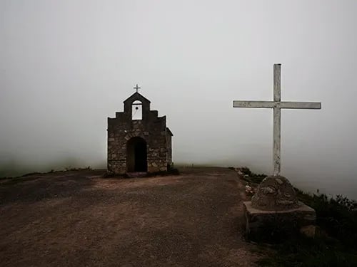 Música Temprana (foto: Vera Rosemberg)