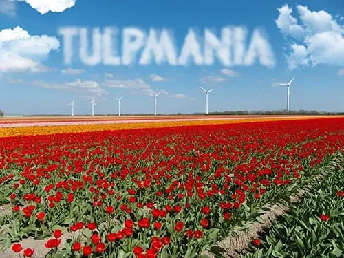 Tulpmania