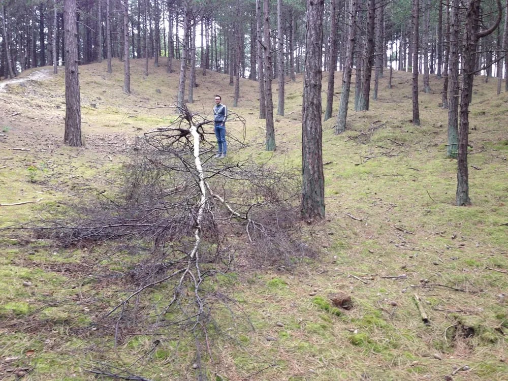 Residentie Collectief Walden