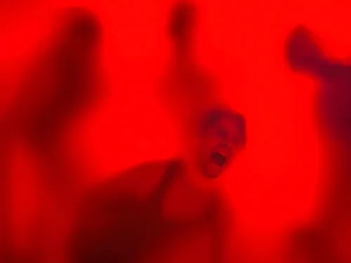 Foto: Saris & den Engelsman