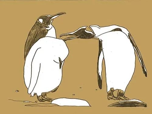 We take it from here