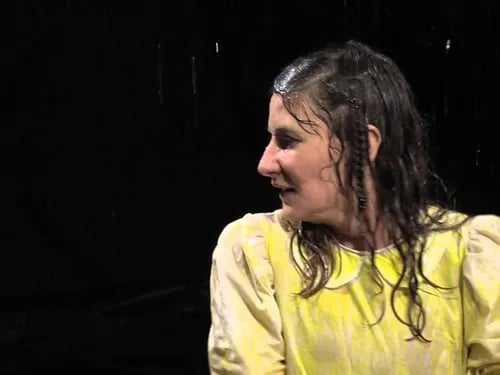 Wat er gebeurde terwijl de mussen de polka dansten